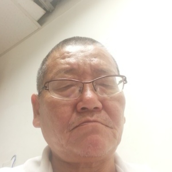勤奋扯大雁的照片