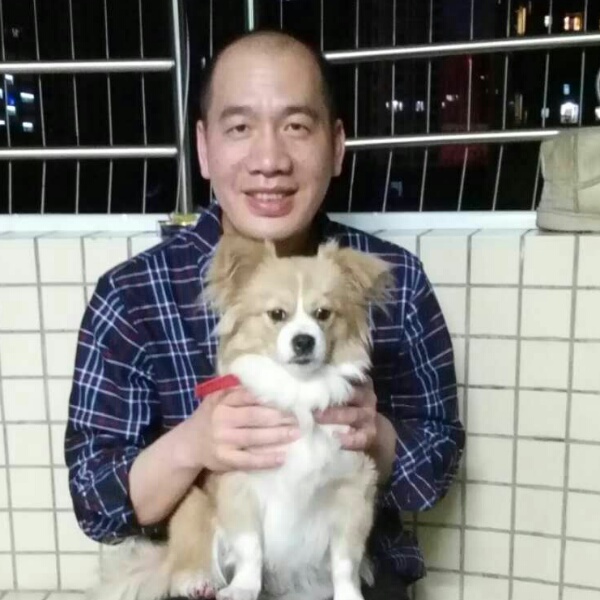 洛尘震动的照片
