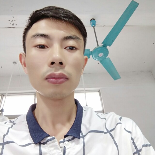 超级龙猫的照片