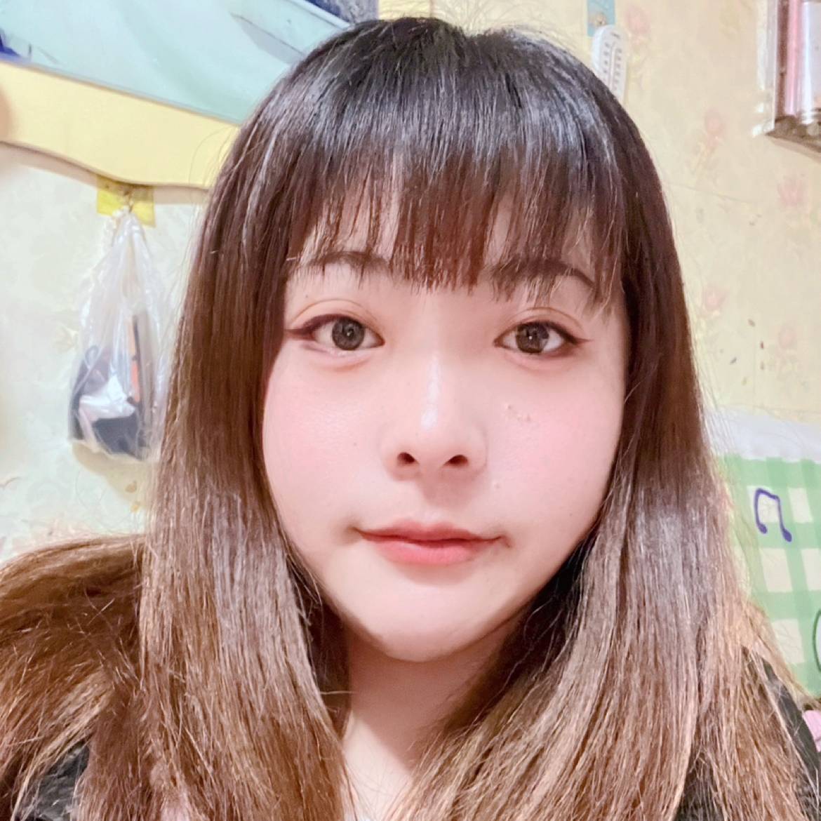 小鸽子与风中的照片