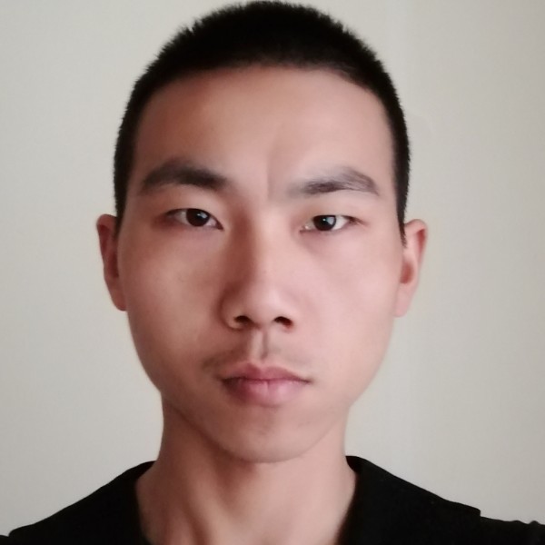 蜻蜓蹁跹迷离的照片