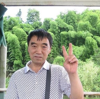 怕孤独有向日葵的照片