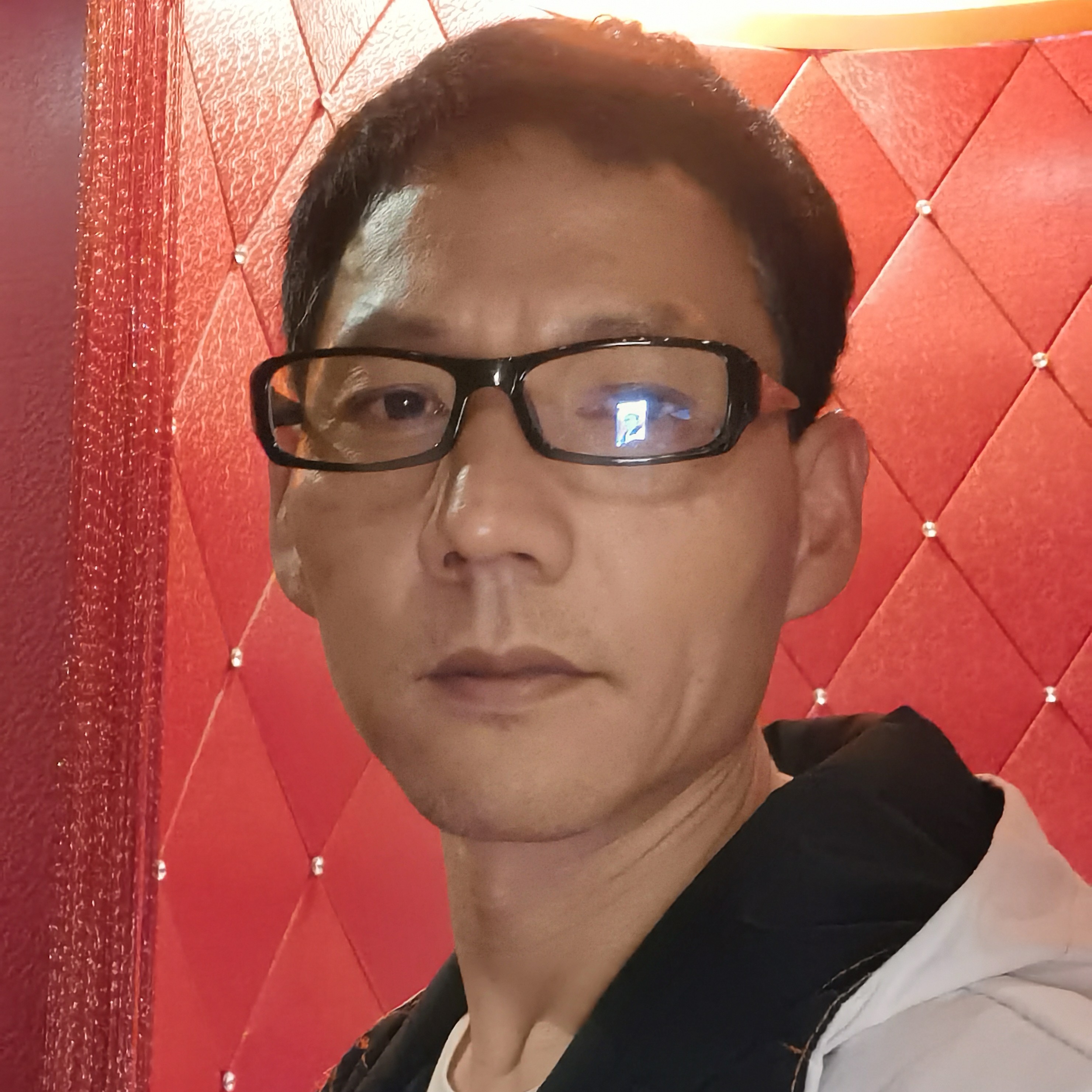 寂寞黄牛的照片
