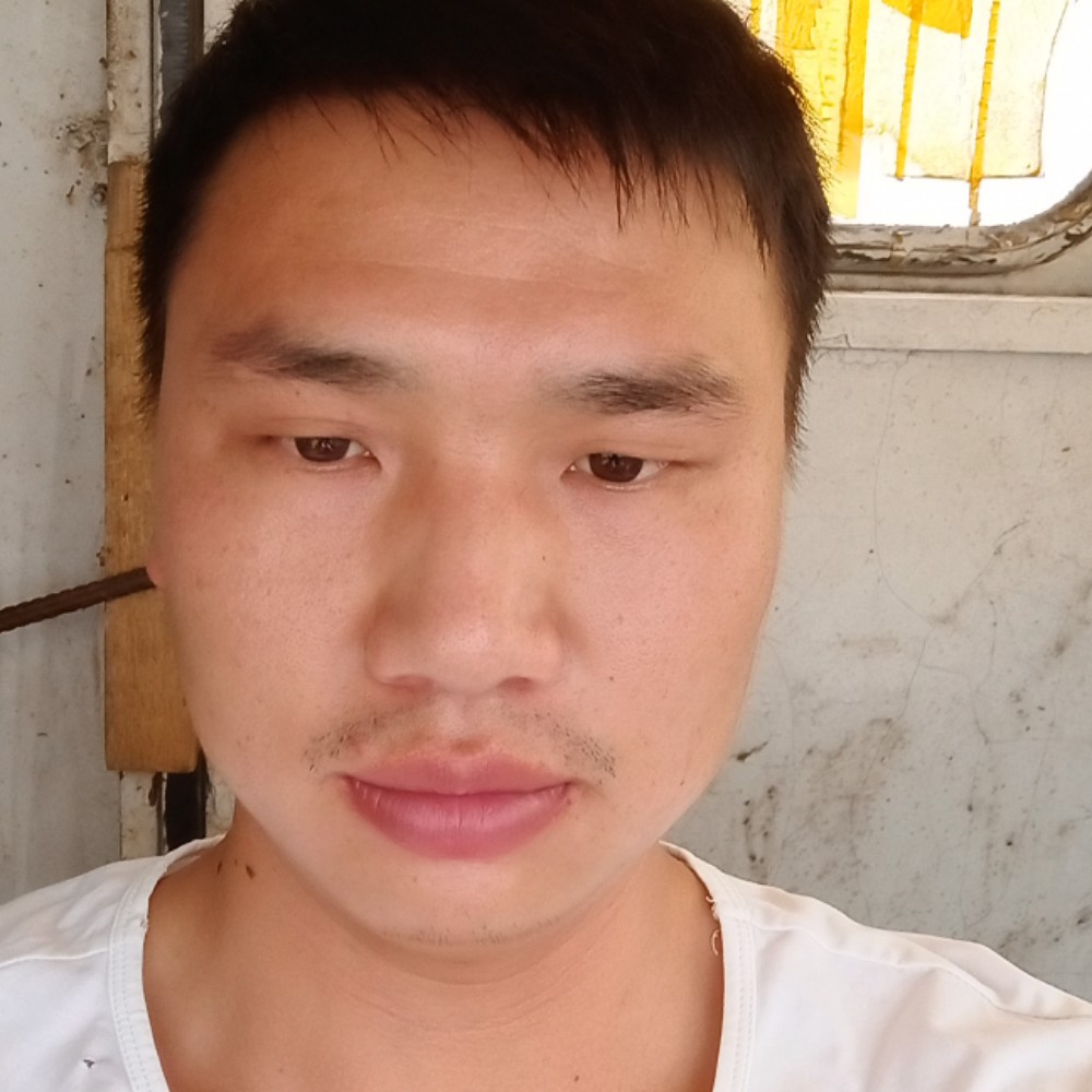 小天鹅爱美丽的照片