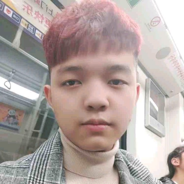 野狼等于整齐的照片