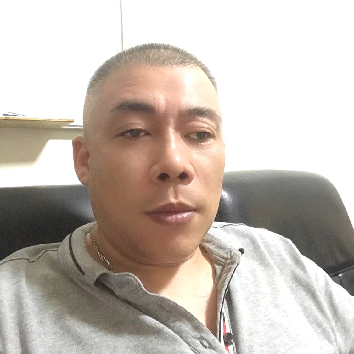 灰狼相许老迟到的照片