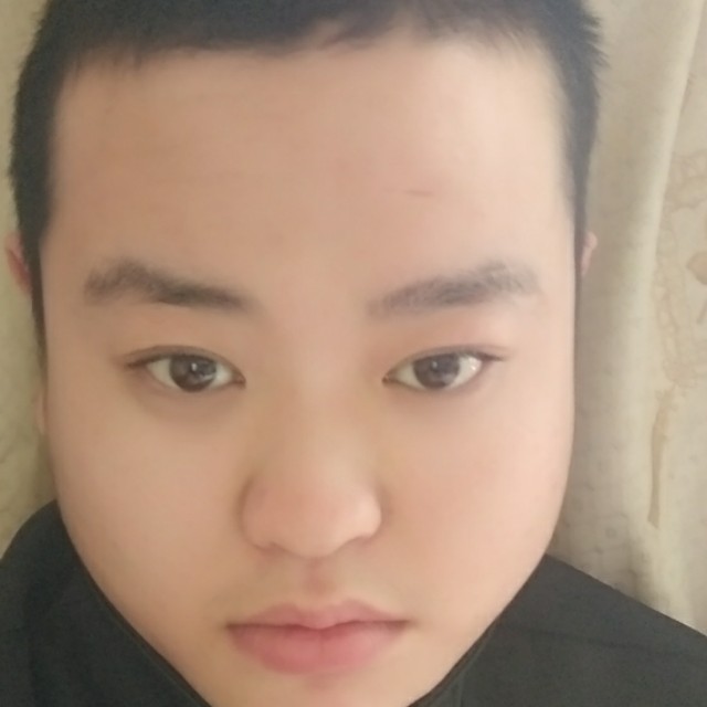长颈鹿有危机的照片