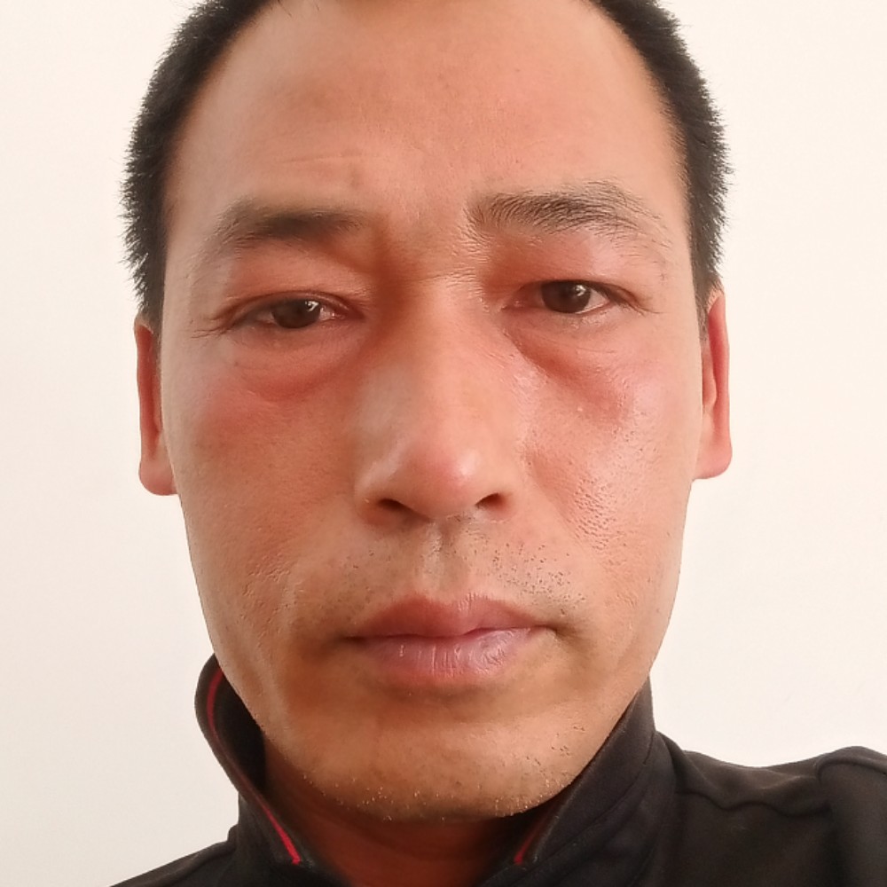 追寻愿梦影的照片