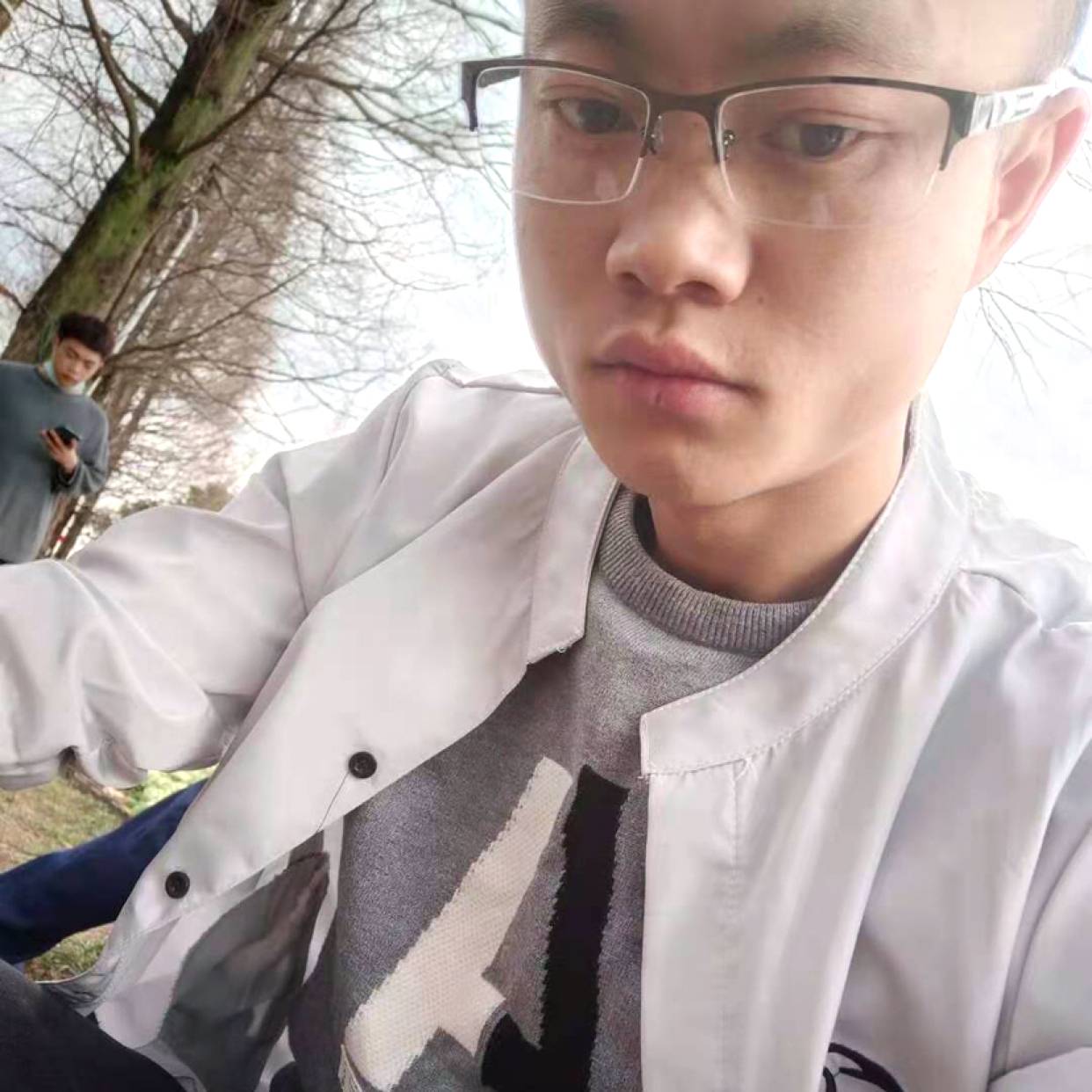 包容爱树叶的照片