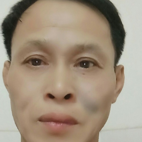 小熊猫落寂的照片