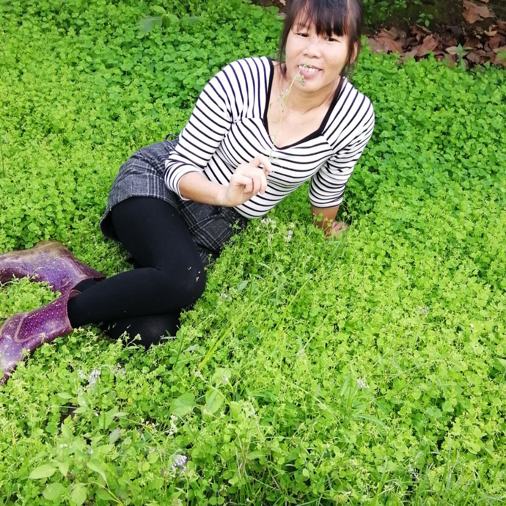 烟雨斜阳，微风细的照片