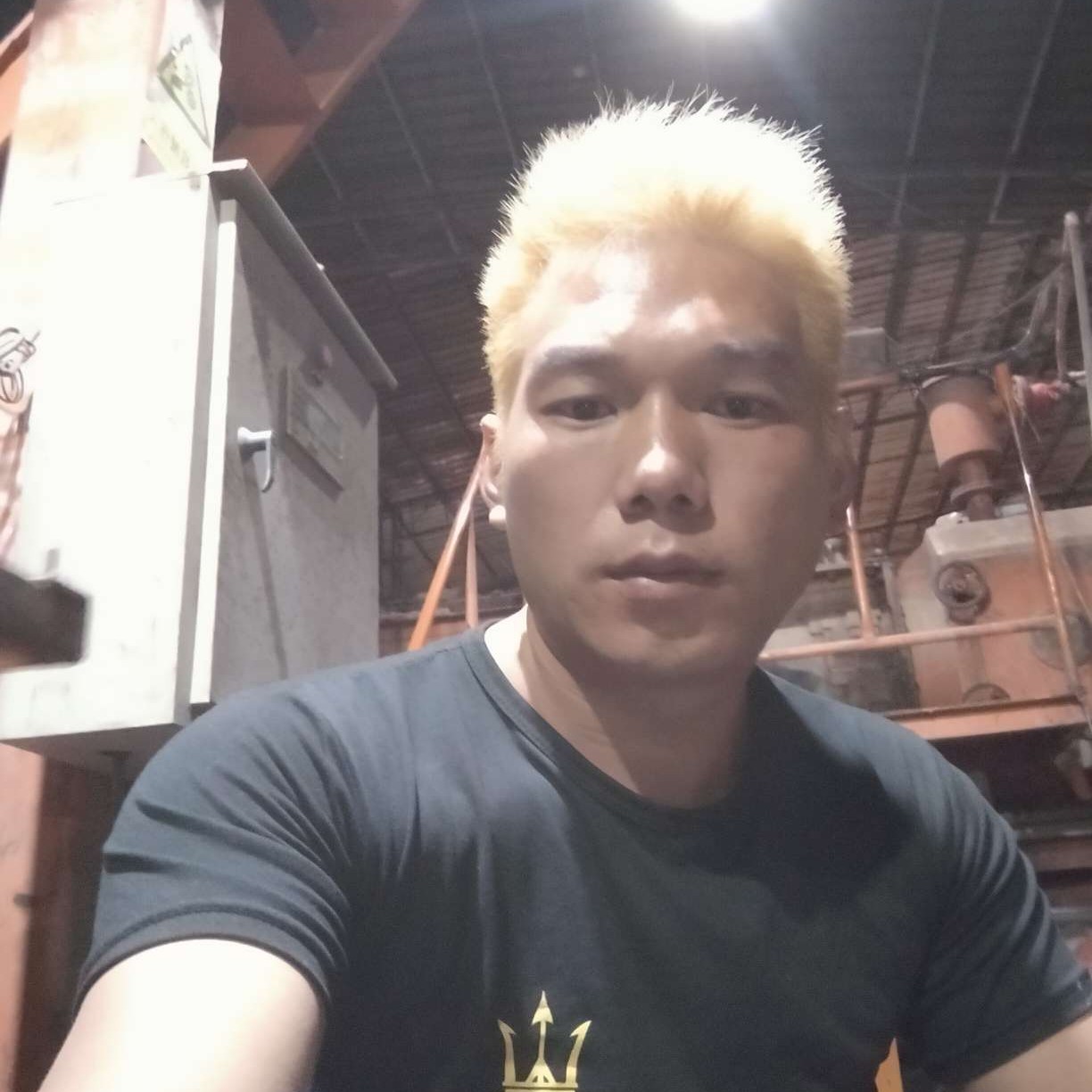 化做一条鱼的照片