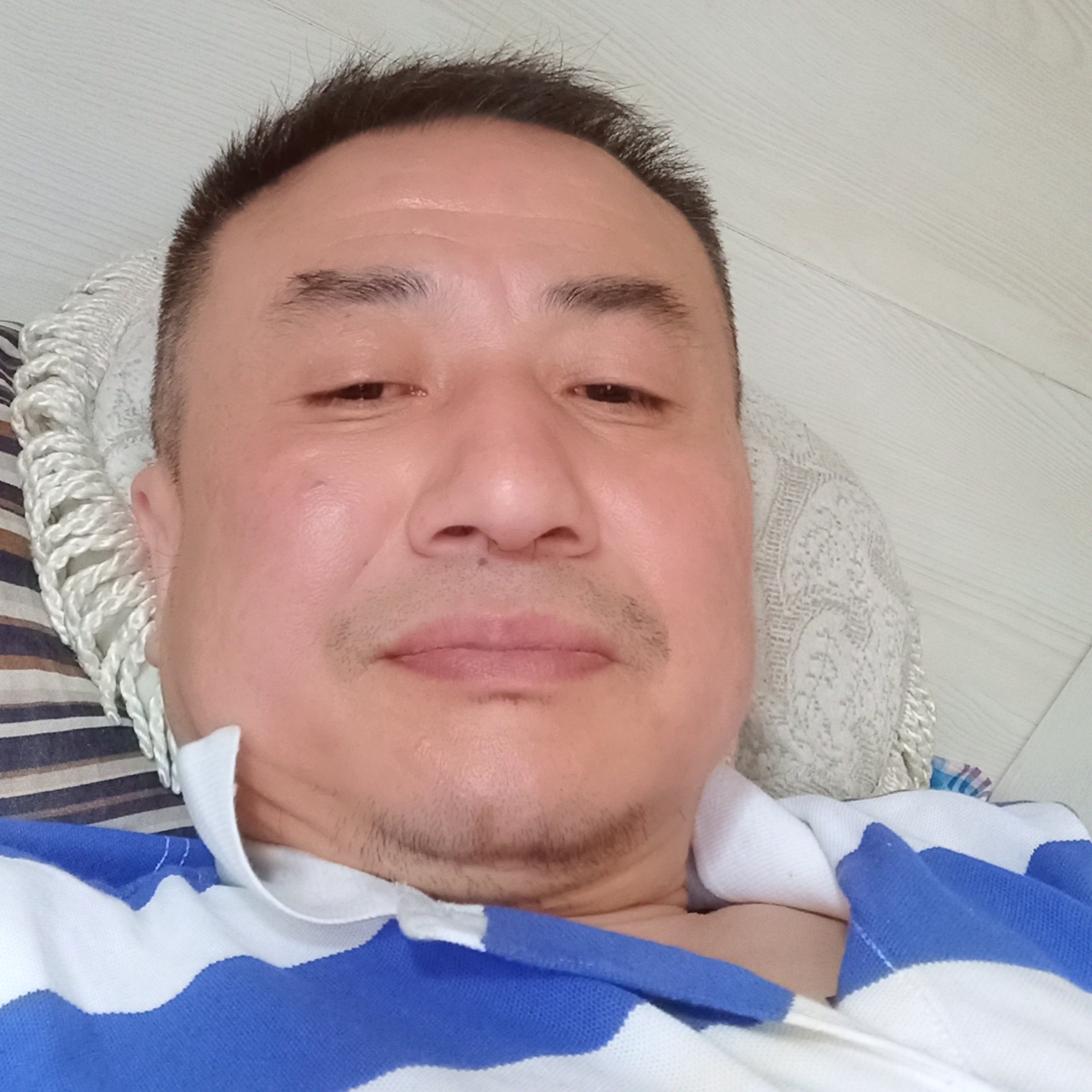 飞鸟深拥糊涂的照片