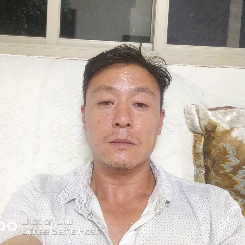 乌龟活泼的照片