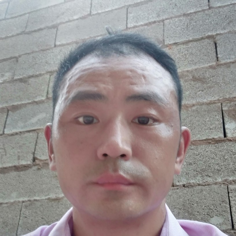 梅晴的照片