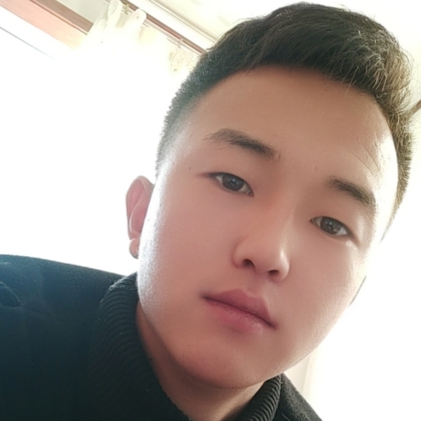 橘子多么英勇的照片
