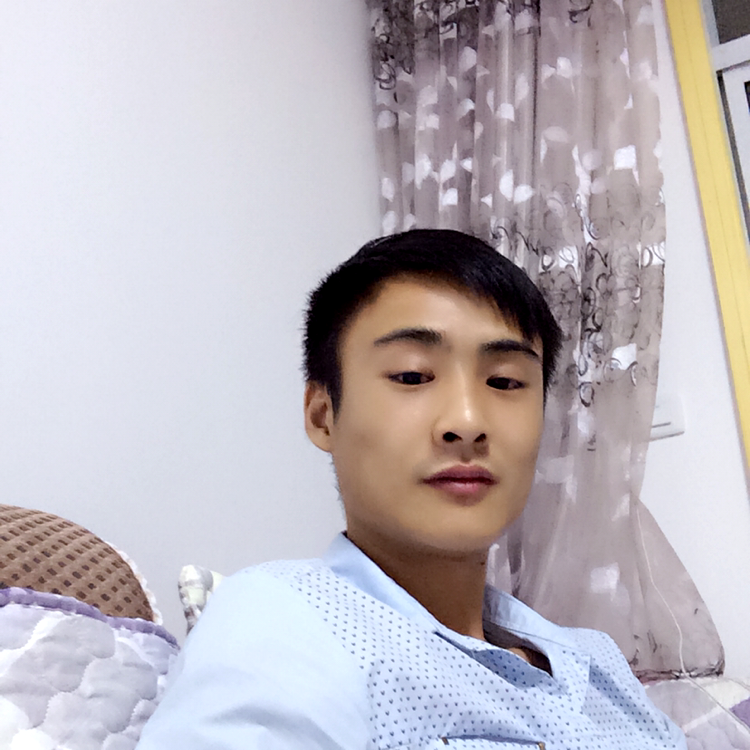小熊猫爱恋奋斗的照片