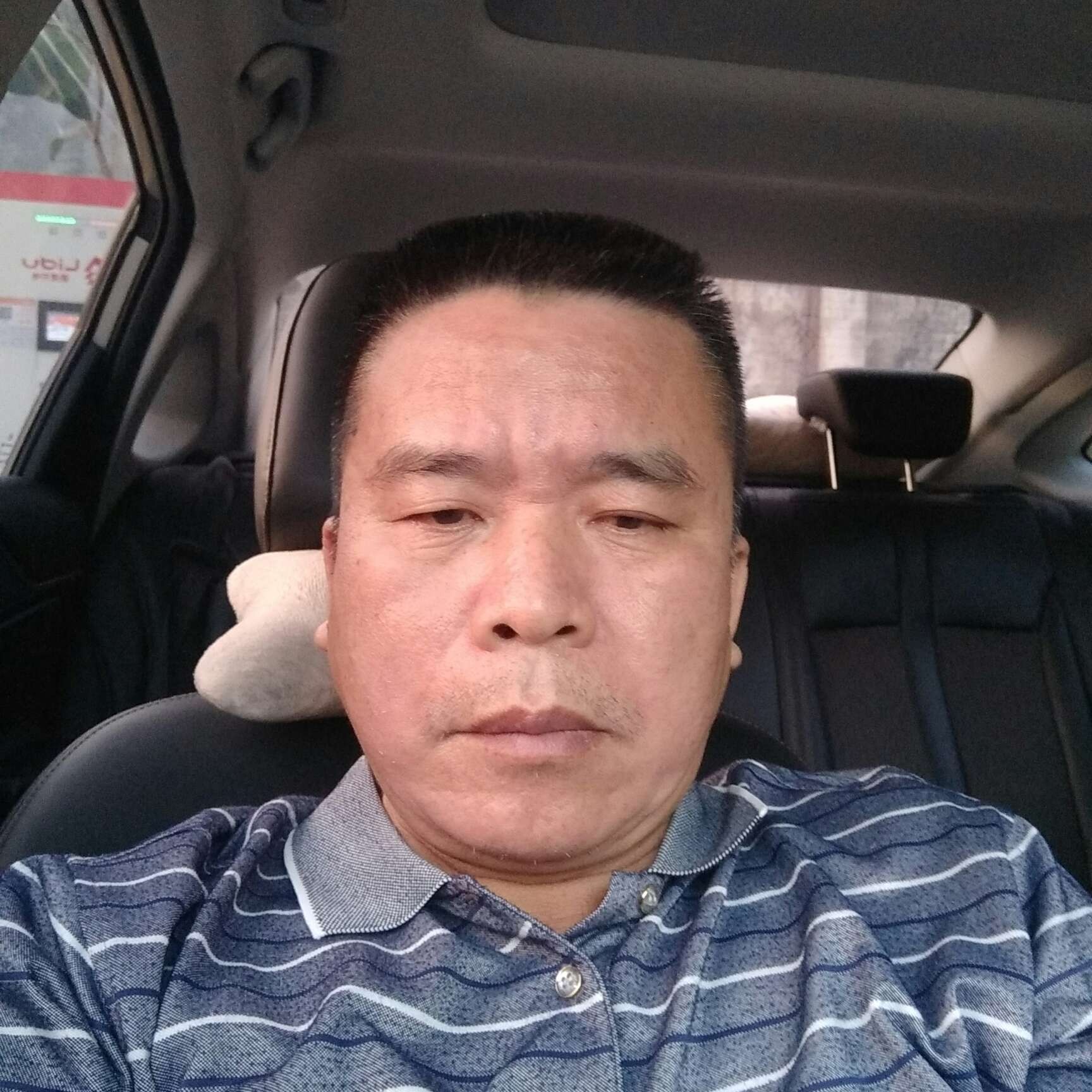 大雁那彪壮的照片