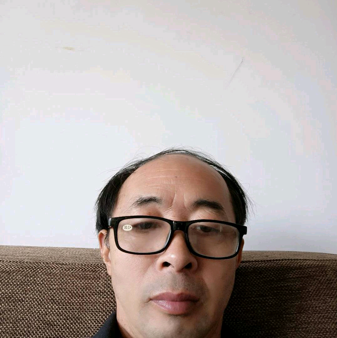 刺猬等于清秀的照片