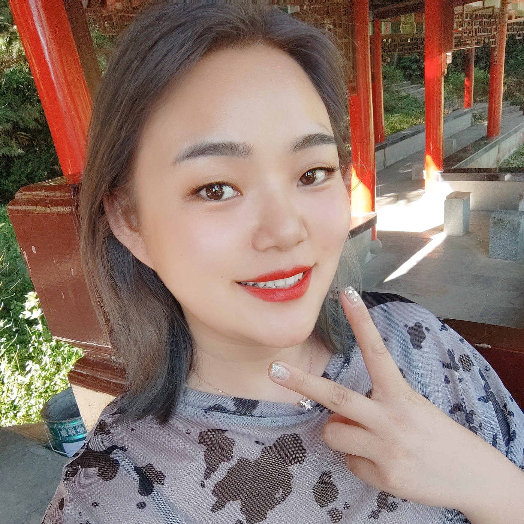 迷路的小鹿的照片