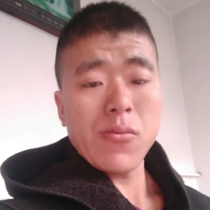 高挑鸵鸟的照片