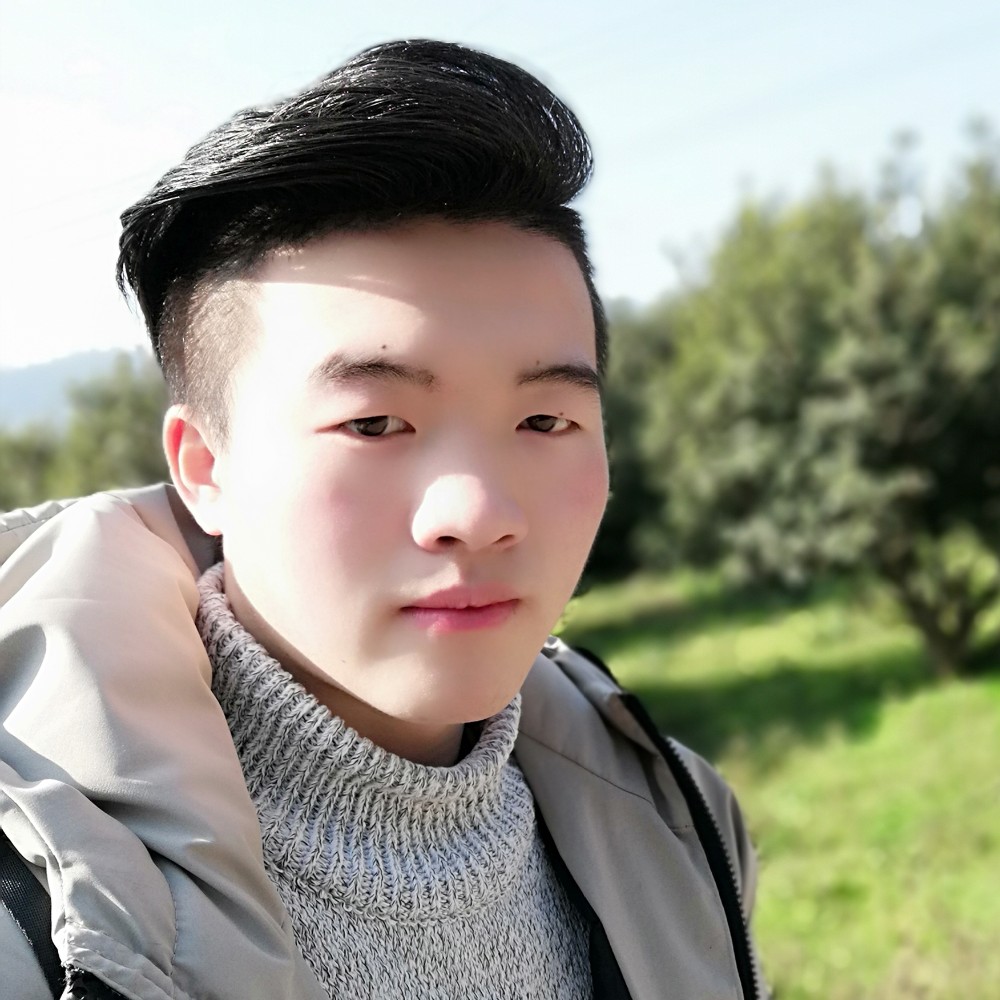 偷心盗贼的照片