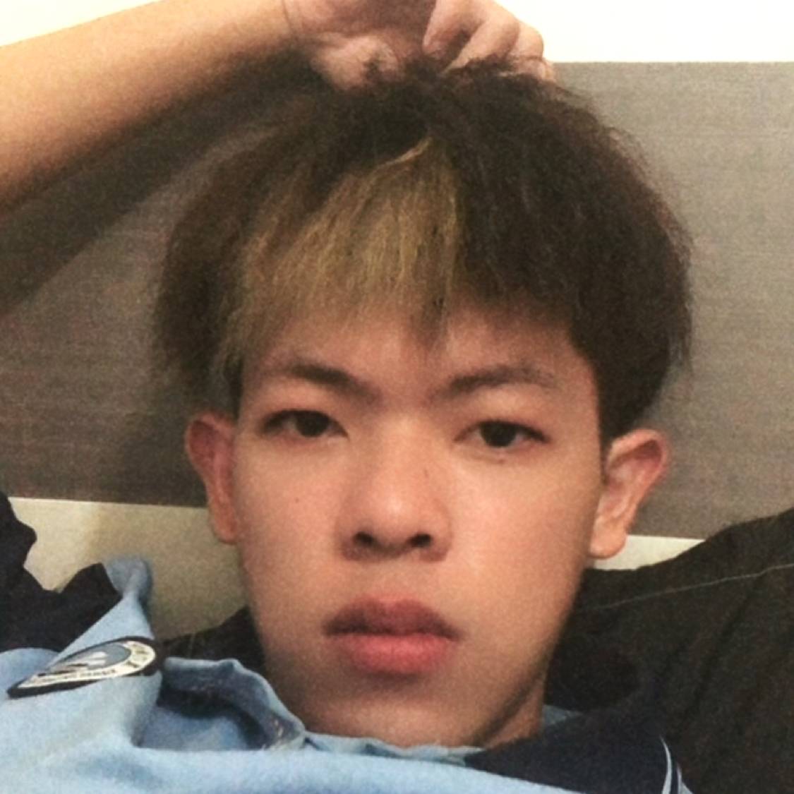 坚强邂逅歌曲的照片