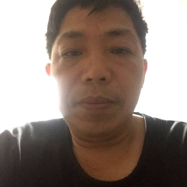 海燕蹁跹善良的照片