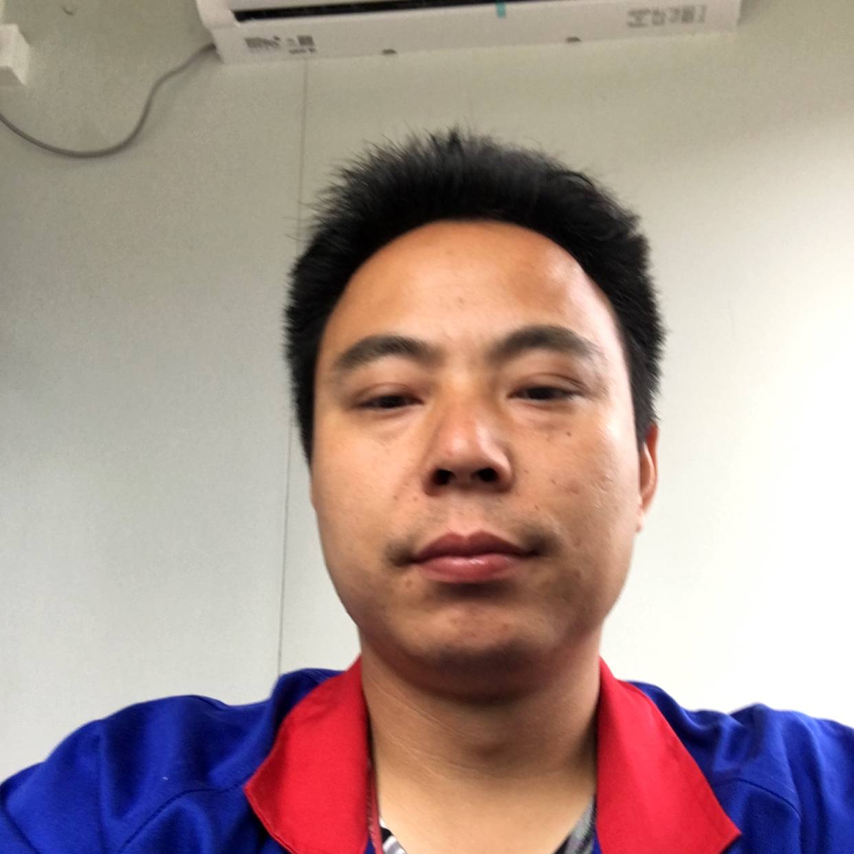追寻苦恋小天鹅的照片