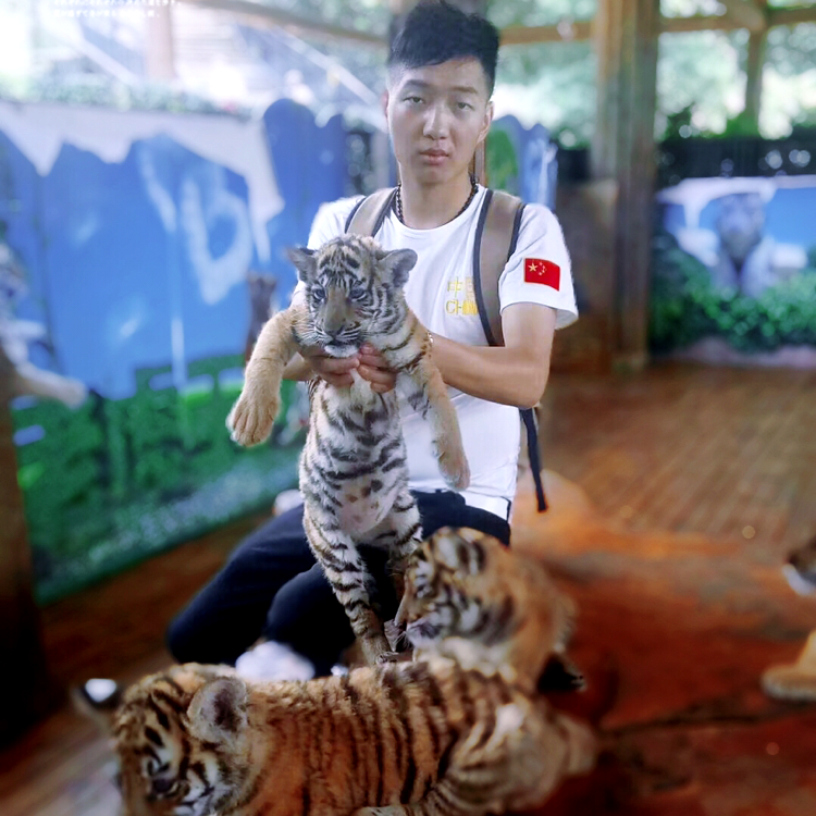 荷花羞涩的照片