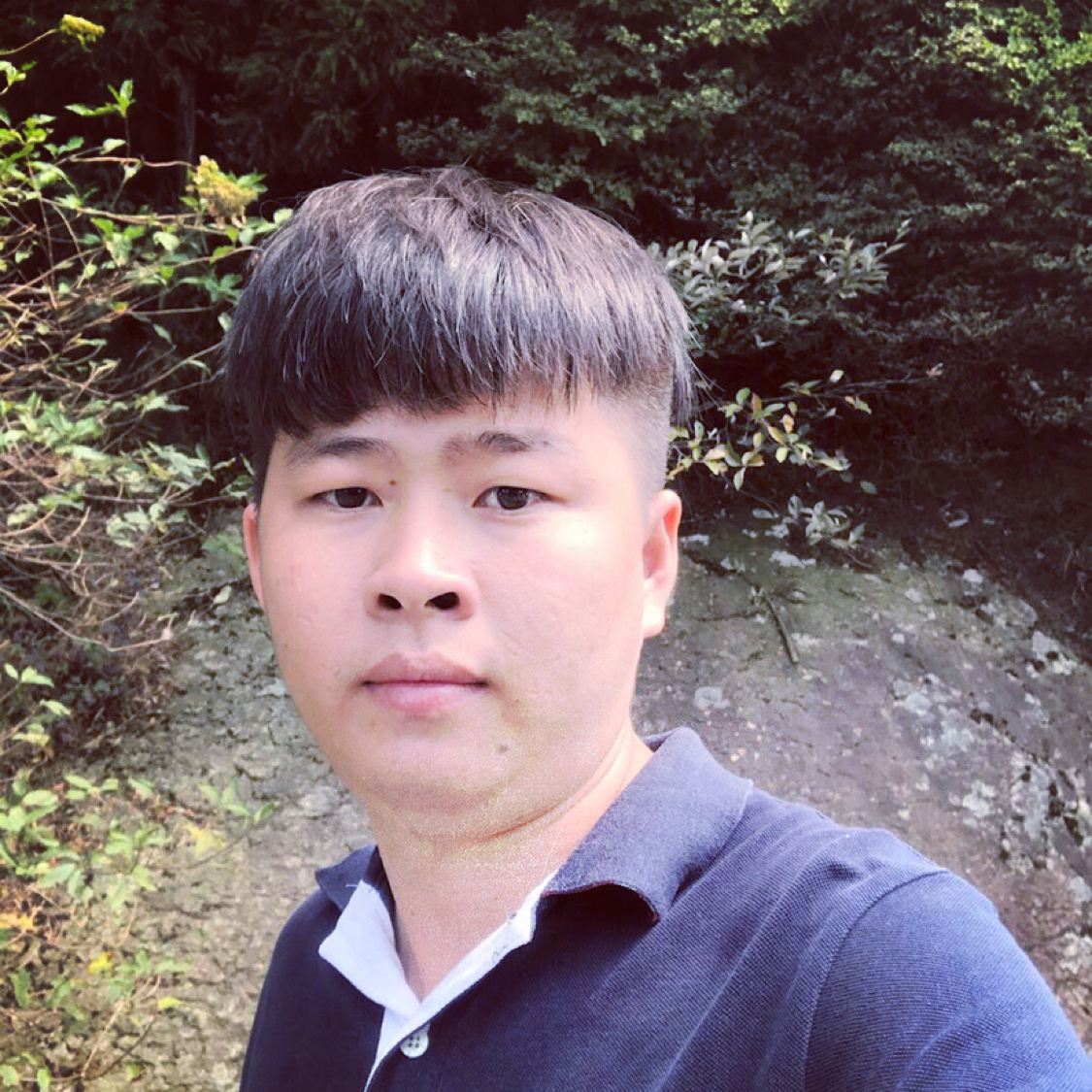 Vicente的照片