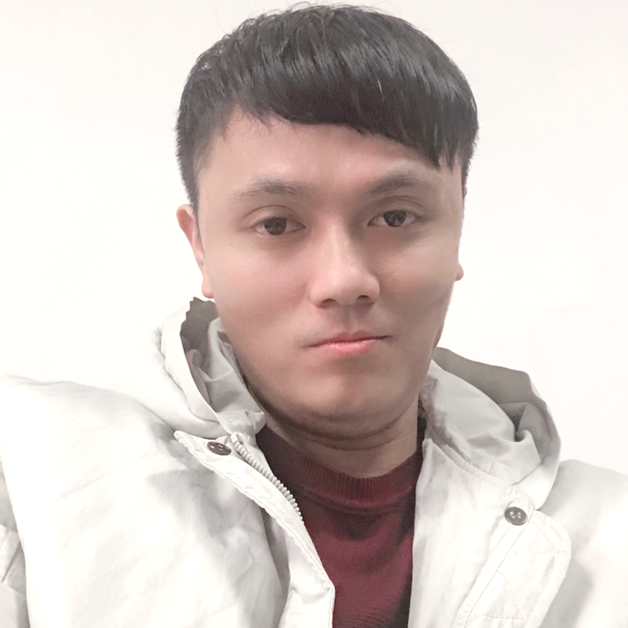 梦幻方舟的照片