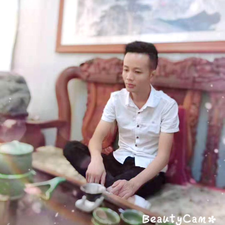 冰淇淋和狂野的照片