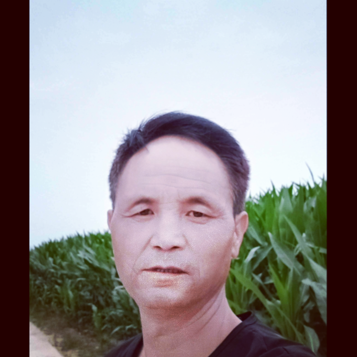 789平凡一生的照片