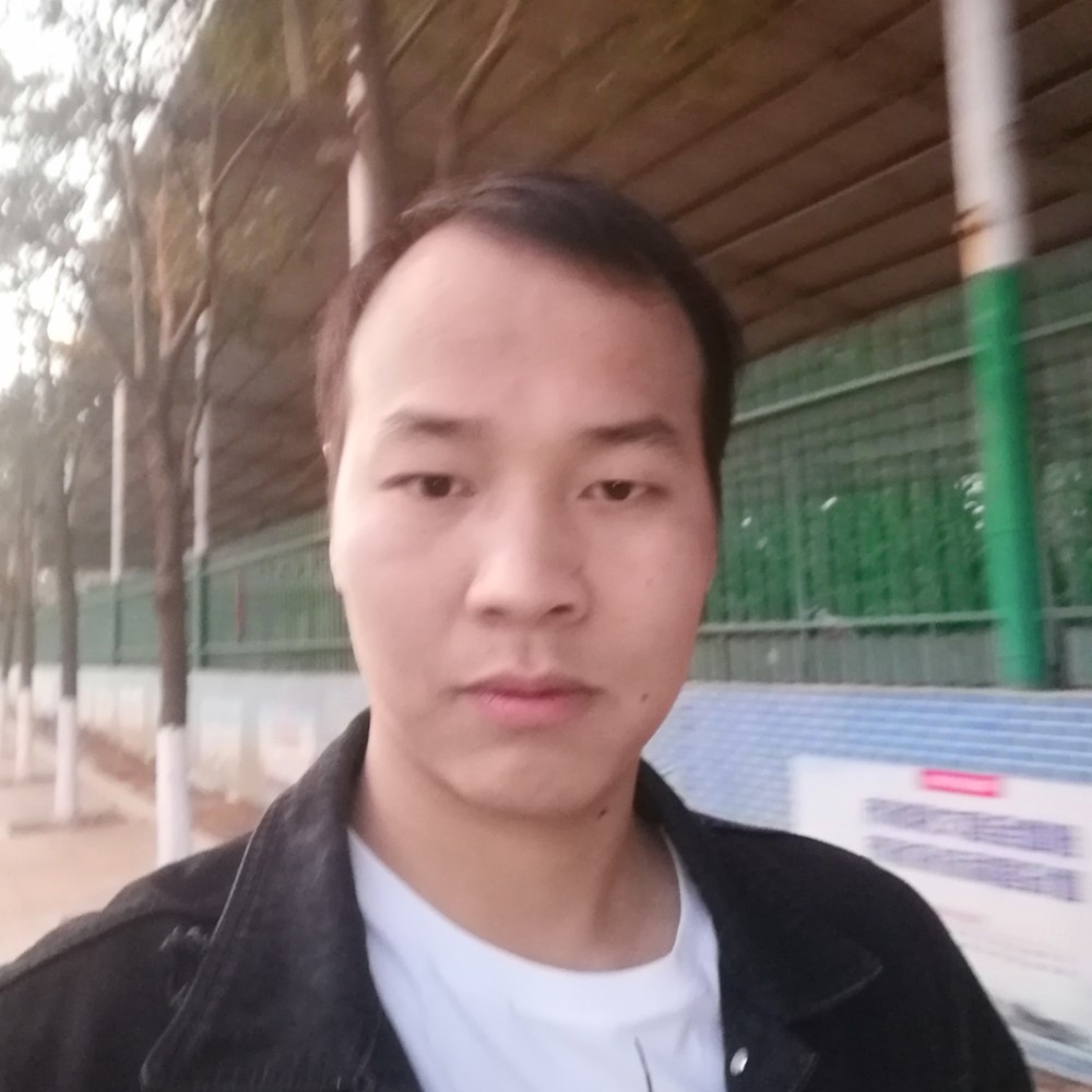 健壮的小懒虫的照片