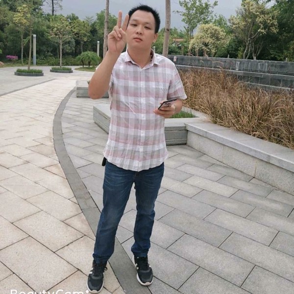 逐风倾心笨笨的照片