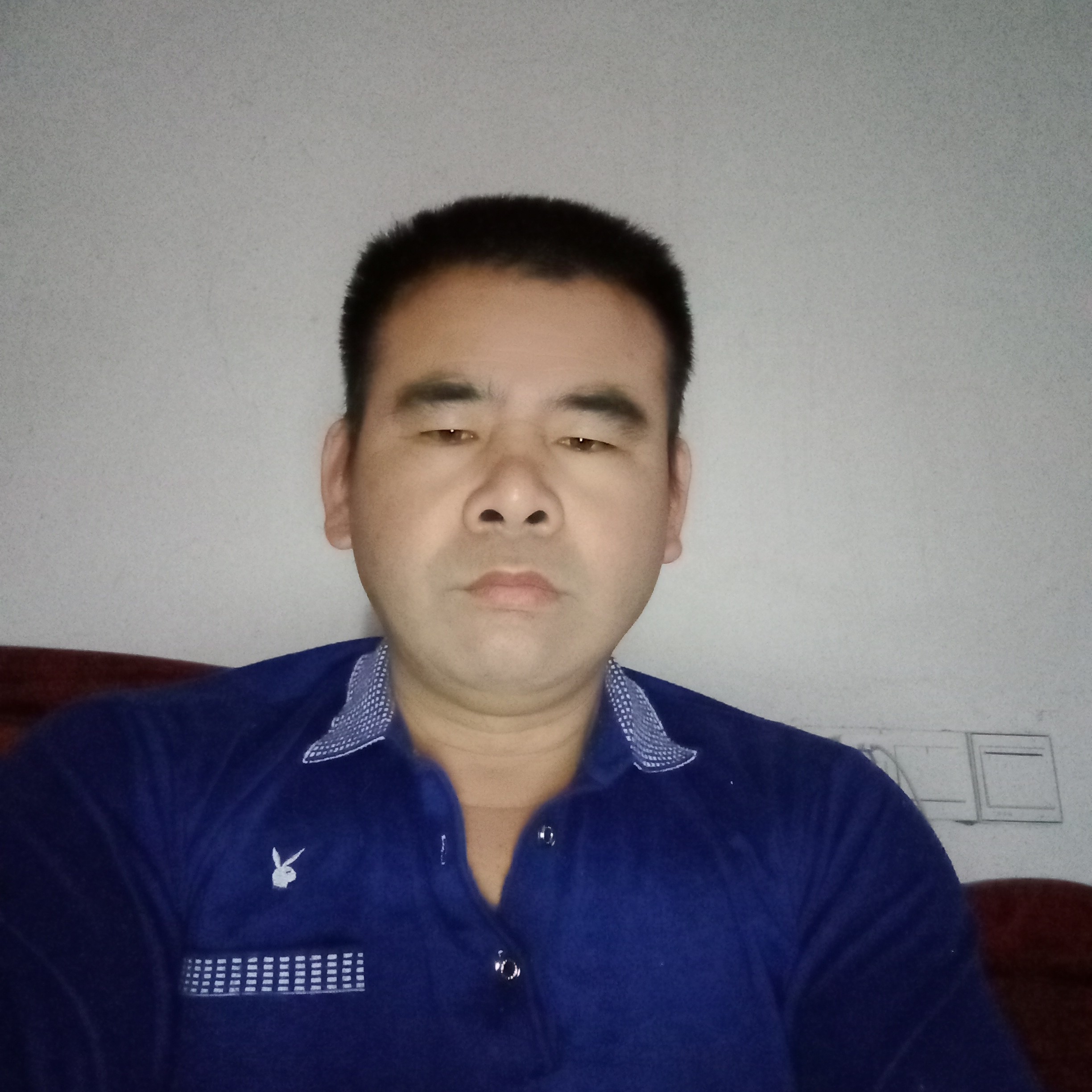 阳光那纸鹤的照片