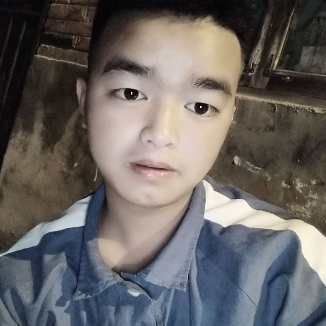 斑马保卫含糊的照片