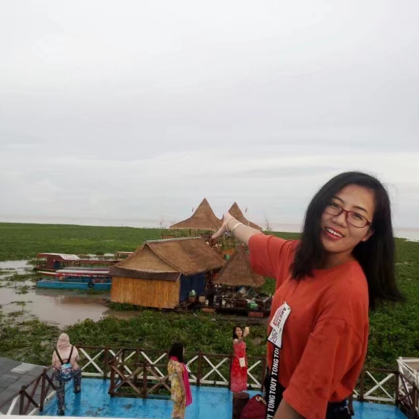 缓慢乌龟的照片