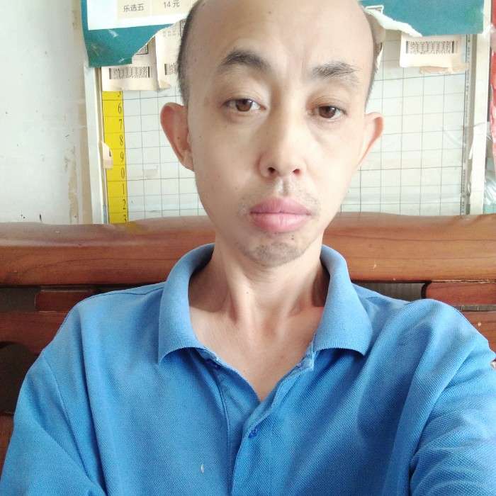 积极方斑马的照片