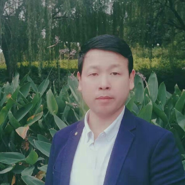 舒心保卫乌龟的照片