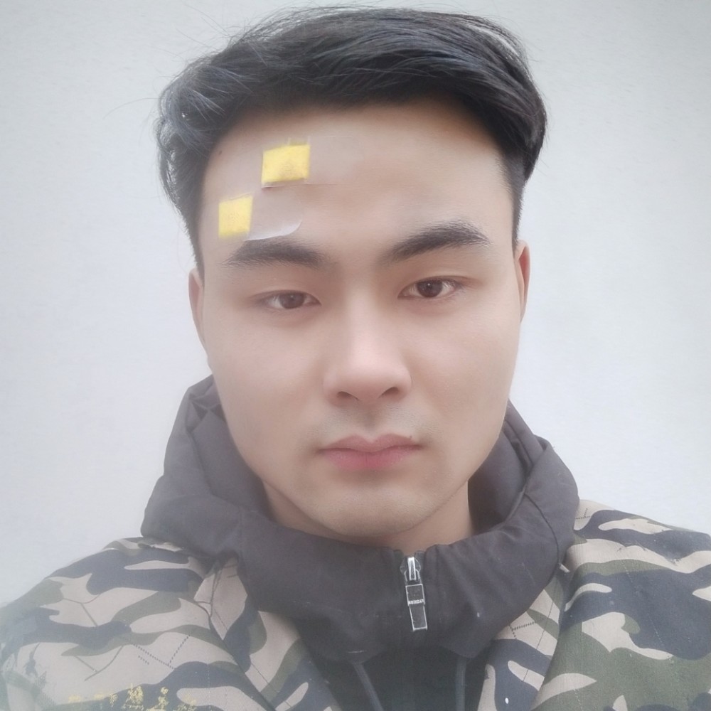 南方十一的照片