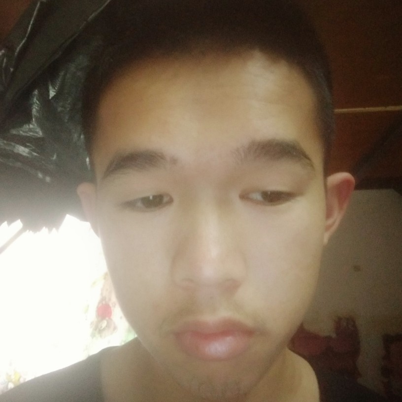 灰狼阔达的照片