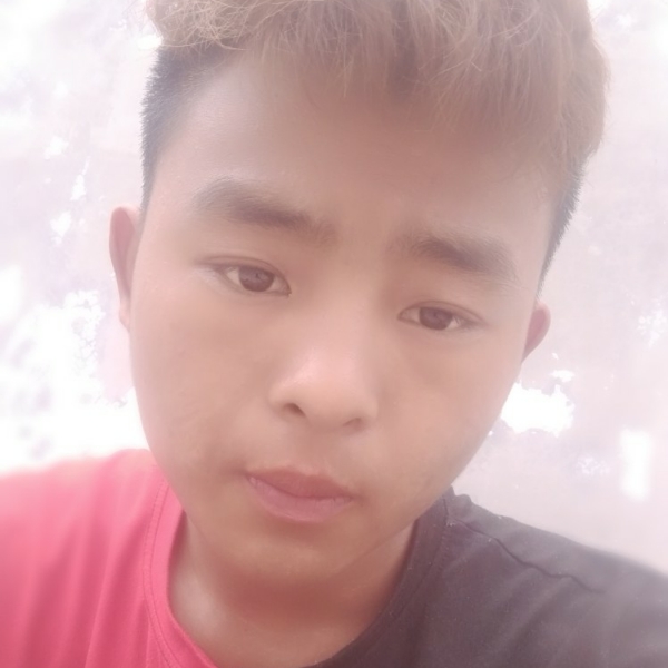 毁心的照片