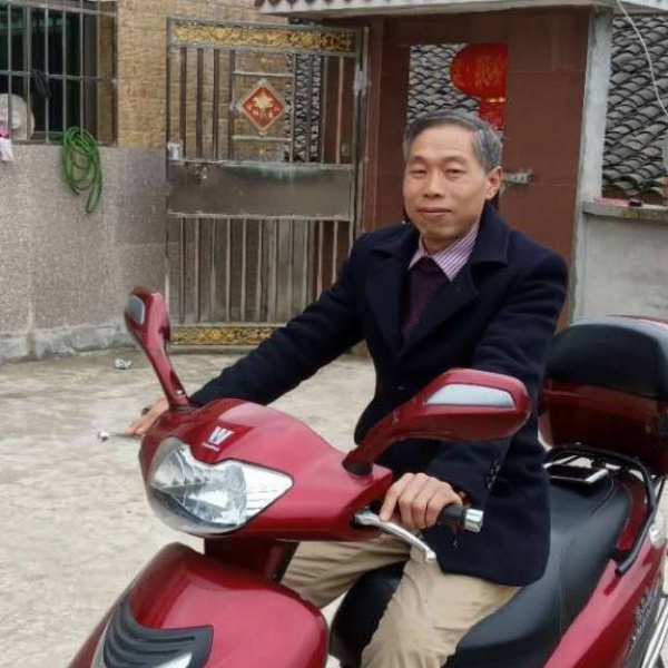 往事单纯的照片