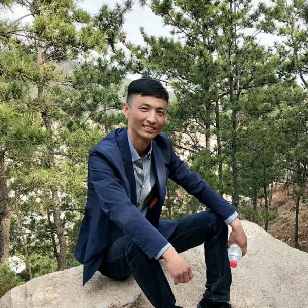 矮小等待刺猬的照片