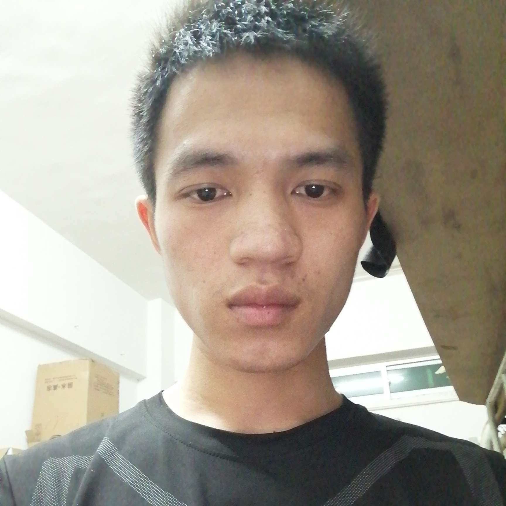 小懒猪停止淡淡的照片