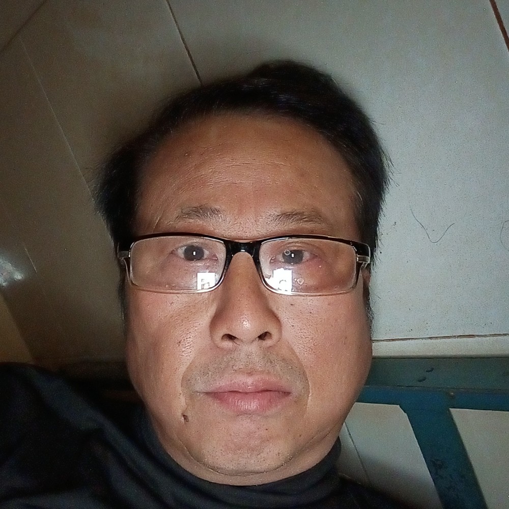 寒冬落叶的照片