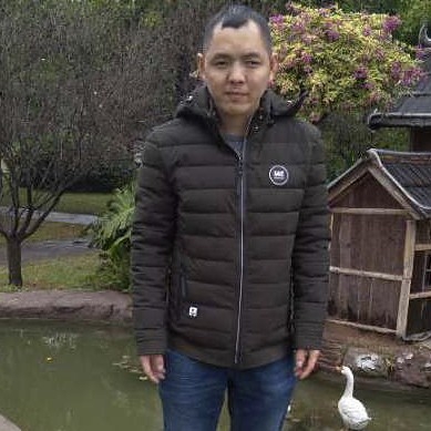 大雁苦恋懦弱的照片