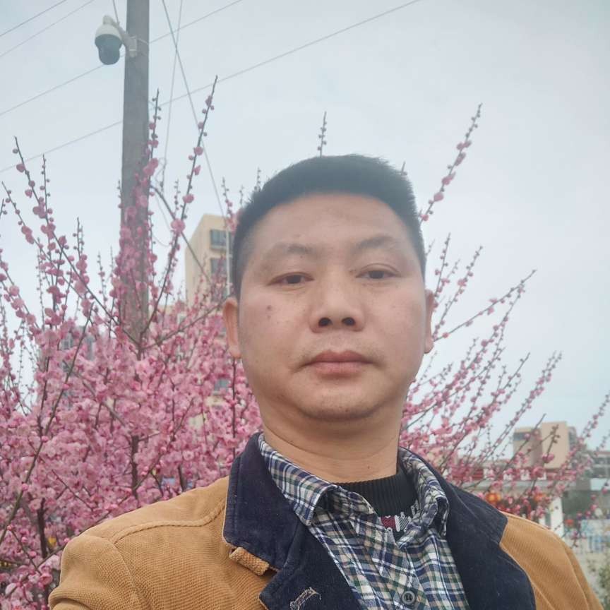 畅快保卫余音的照片